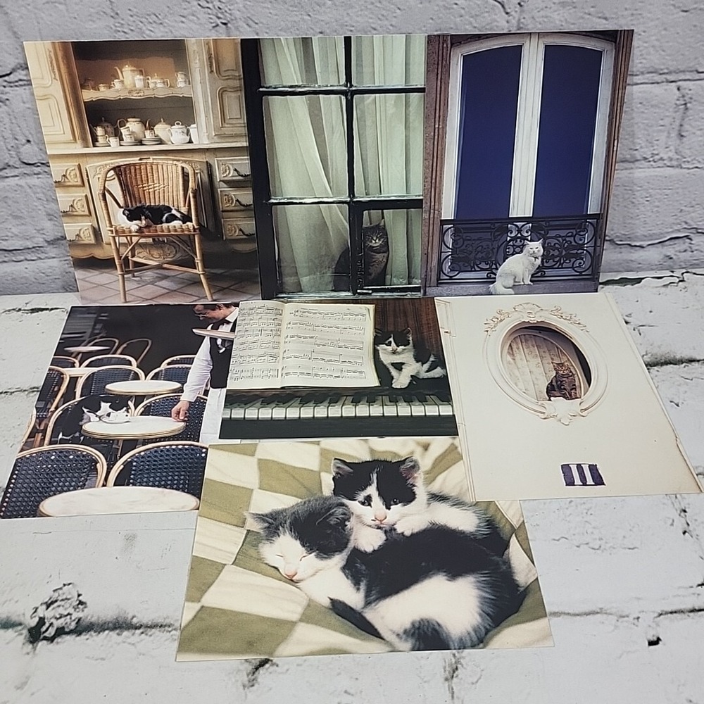 Vintage‎ Oversized Kitty Cat Postcards 7pc Lot #3